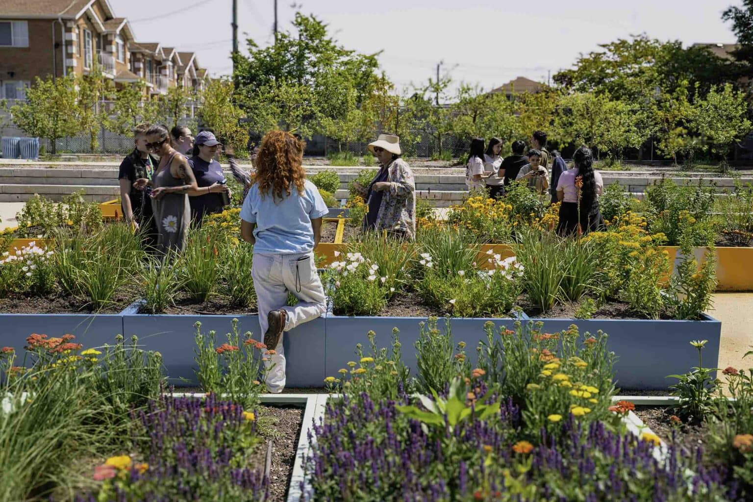 Local community enjoying a summer event at the learning farm.