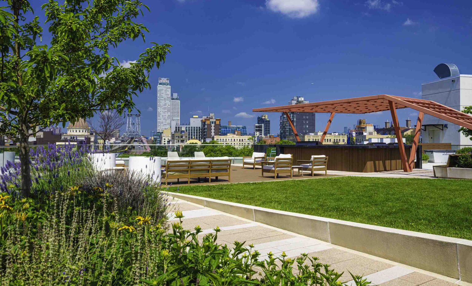 Central lawn and outdoor kitchen area.
