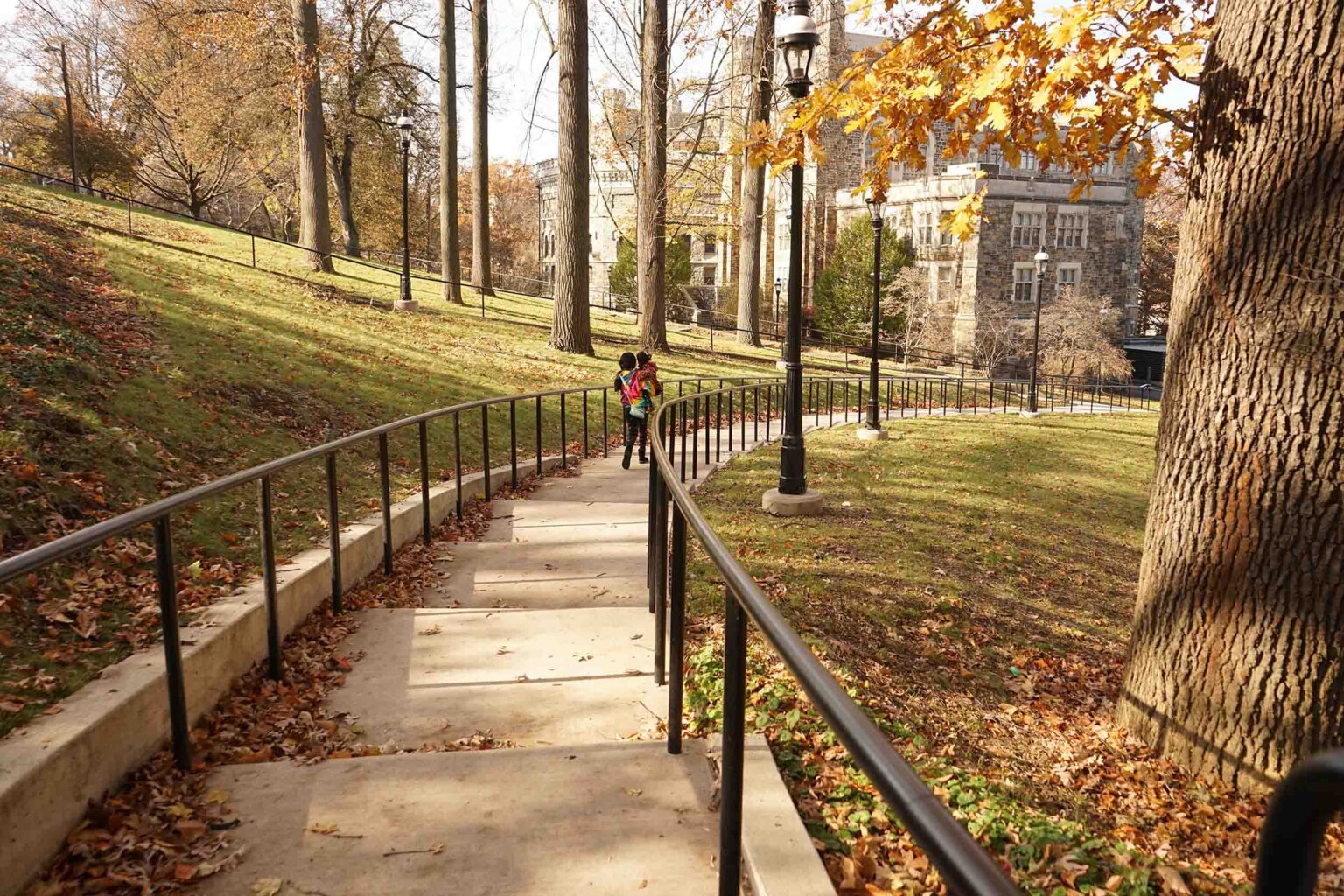 Stepped path within campus grounds.