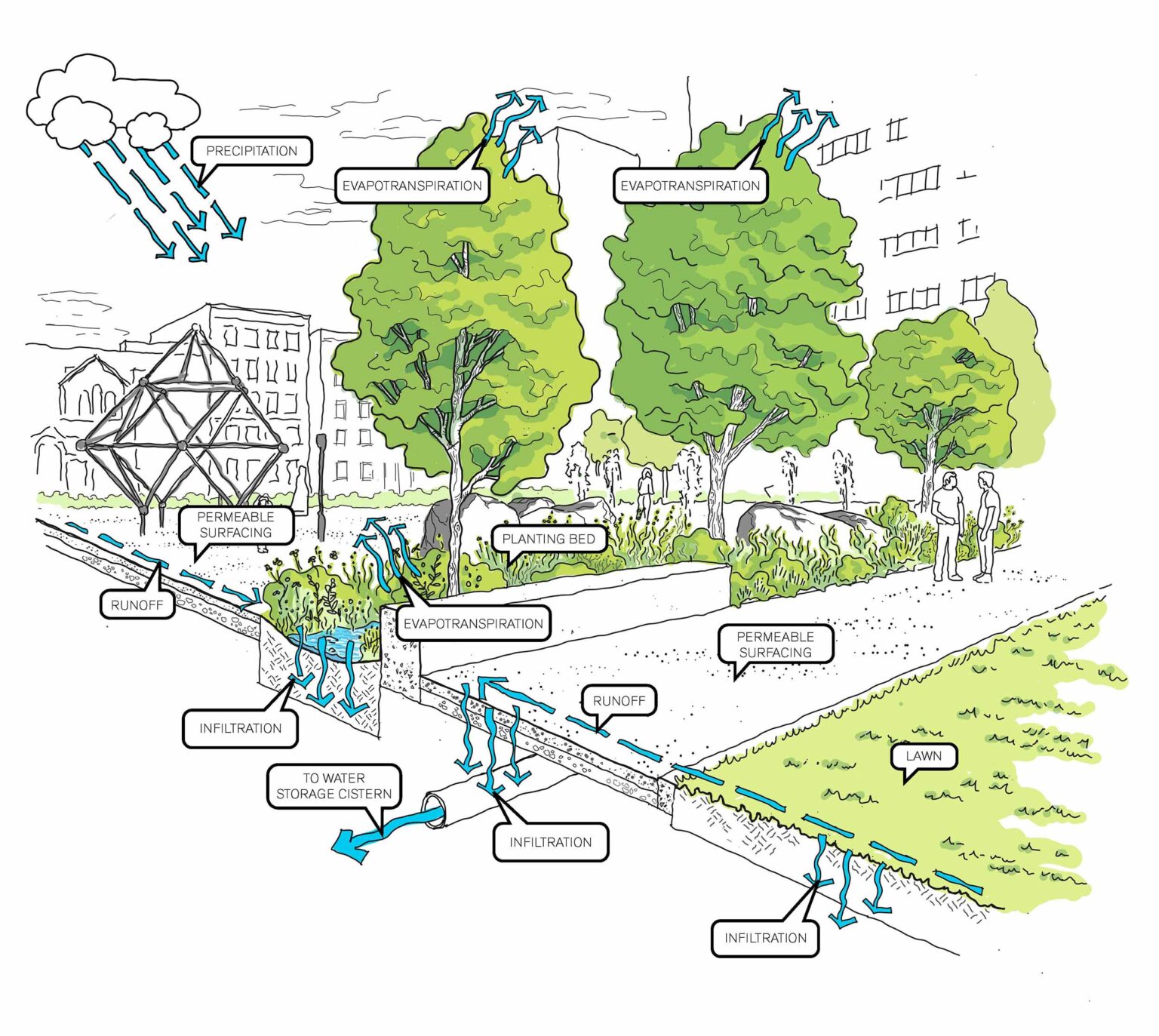 Green infrastructure sketch at Jefferson Houses.
